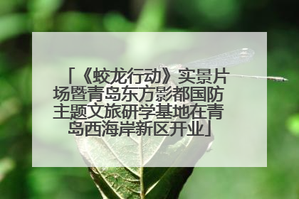 《蛟龙行动》实景片场暨青岛东方影都国防主题文旅研学基地在青岛西海岸新区开业
