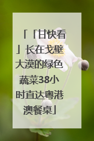 「甘快看」长在戈壁大漠的绿色蔬菜38小时直达粤港澳餐桌