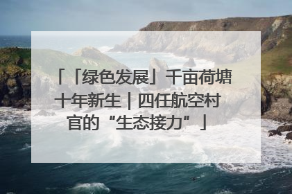「绿色发展」千亩荷塘 十年新生｜四任航空村官的“生态接力”