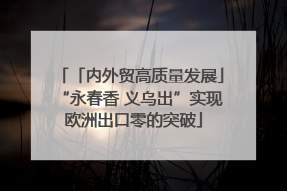 「内外贸高质量发展」“永春香 义乌出”实现欧洲出口零的突破