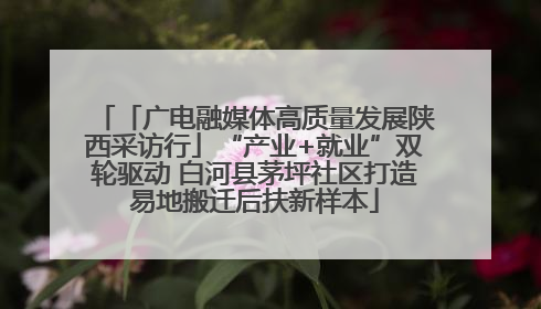 「广电融媒体高质量发展陕西采访行」“产业+就业”双轮驱动 白河县茅坪社区打造易地搬迁后扶新样本