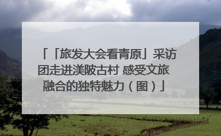 「旅发大会看青原」采访团走进渼陂古村 感受文旅融合的独特魅力（图）