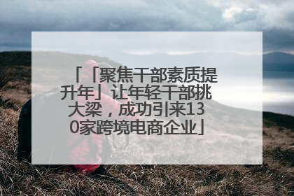 「聚焦干部素质提升年」让年轻干部挑大梁，成功引来130家跨境电商企业