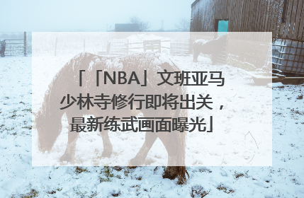 「NBA」文班亚马少林寺修行即将出关，最新练武画面曝光