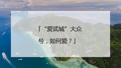 “爱武城”大众号，如何爱？