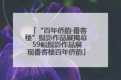 “百年侨韵·番客楼”摄影作品展揭幕 59幅摄影作品展现番客楼百年侨韵