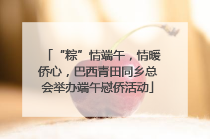 “粽”情端午，情暖侨心，巴西青田同乡总会举办端午慰侨活动