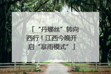 “丹娜丝”转向西行！江西今晚开启“暴雨模式”