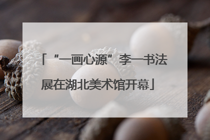 “一画心源”李一书法展在湖北美术馆开幕
