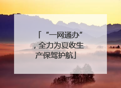 “一网通办”，全力为夏收生产保驾护航