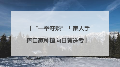 “一举夺魁”！家人手捧自家种植向日葵送考