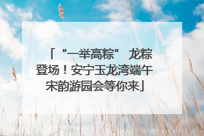 “一举高粽” 龙粽登场！安宁玉龙湾端午宋韵游园会等你来