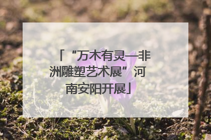 “万木有灵—非洲雕塑艺术展”河南安阳开展