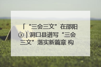 “三会三文”在邵阳③｜洞口县谱写“三会三文”落实新篇章 构建协同联动大格局