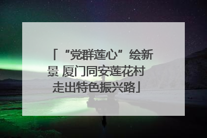 “党群莲心”绘新景 厦门同安莲花村走出特色振兴路