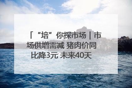 “培”你探市场｜市场供增需减 猪肉价同比降3元 未来40天便宜猪肉敞开吃