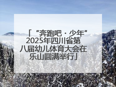 “奔跑吧・少年”2025年四川省第八届幼儿体育大会在乐山圆满举行