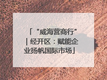 “威海营商行”｜经开区：赋能企业扬帆国际市场