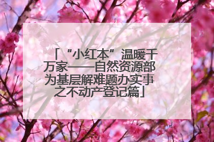 “小红本”温暖千万家——自然资源部为基层解难题办实事之不动产登记篇