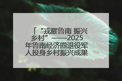 “戎耀鲁南 振兴乡村”——2025年鲁南经济圈退役军人投身乡村振兴成果展销会盛大启幕