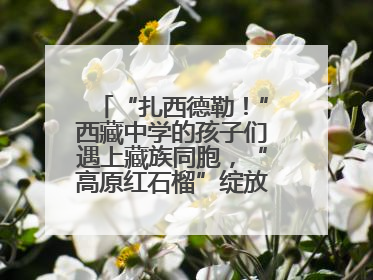 “扎西德勒！”西藏中学的孩子们遇上藏族同胞，“高原红石榴”绽放荆楚大地