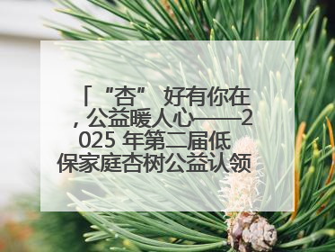 “杏” 好有你在，公益暖人心——2025 年第二届低保家庭杏树公益认领活动开启