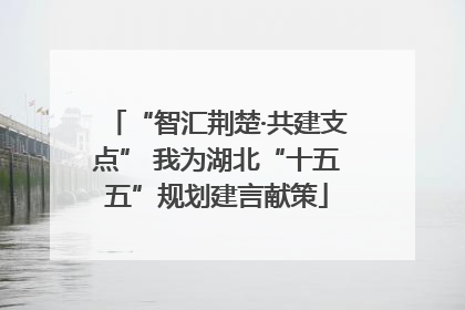 “智汇荆楚·共建支点” 我为湖北“十五五”规划建言献策