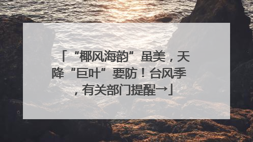 “椰风海韵”虽美，天降“巨叶”要防！台风季，有关部门提醒→