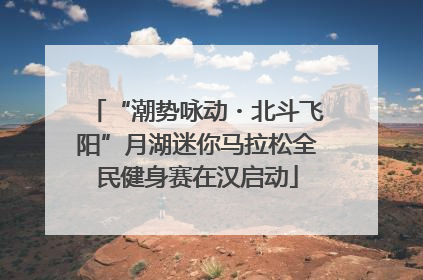 “潮势咏动・北斗飞阳”月湖迷你马拉松全民健身赛在汉启动