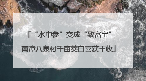 “水中参”变成“致富宝” 南漳八泉村千亩茭白喜获丰收