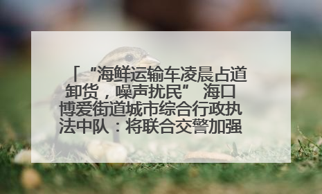 “海鲜运输车凌晨占道卸货，噪声扰民” 海口博爱街道城市综合行政执法中队：将联合交警加强长堤路一带巡逻