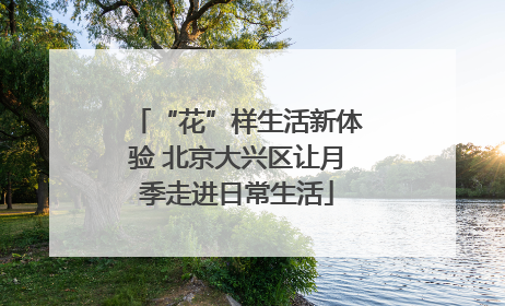 “花”样生活新体验 北京大兴区让月季走进日常生活