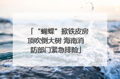 “蝴蝶”掀铁皮房顶吹倒大树 海南消防部门紧急排险