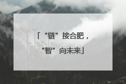 “链”接合肥，“智”向未来