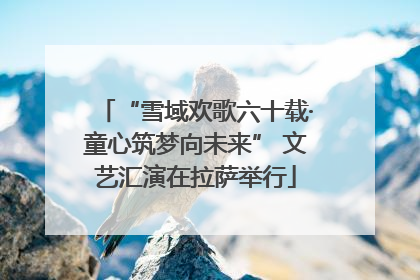 “雪域欢歌六十载·童心筑梦向未来” 文艺汇演在拉萨举行
