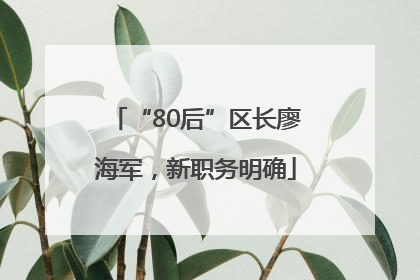 “80后”区长廖海军，新职务明确