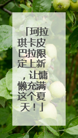 珂拉琪卡皮巴拉限定上新，让慵懒充满这个夏天！
