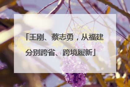 王刚、蔡志勇，从福建分别跨省、跨境履新