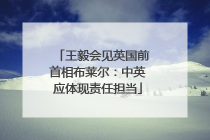 王毅会见英国前首相布莱尔：中英应体现责任担当