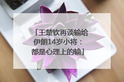 王楚钦再谈输给伊朗14岁小将：都是心理上的输