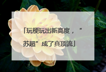玩梗玩出新高度，“苏超”成了真顶流