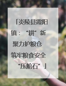 炎陵县霞阳镇：“耕”新聚力护粮仓 筑牢粮食安全“压舱石”
