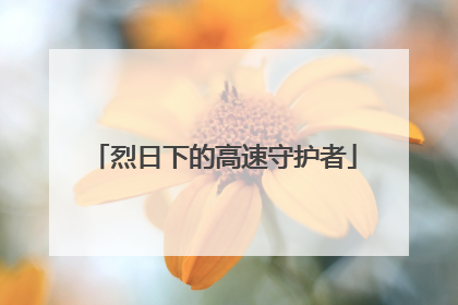 烈日下的高速守护者
