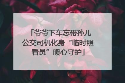 爷爷下车忘带孙儿 公交司机化身“临时照看员”暖心守护