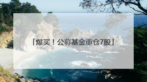 爆买！公募基金重仓7股