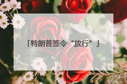 特朗普签令“放行”