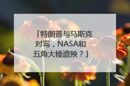 特朗普与马斯克对骂，NASA和五角大楼遭殃？