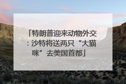 特朗普迎来动物外交：沙特将送两只“大猫咪”去美国首都