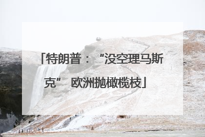 特朗普：“没空理马斯克” 欧洲抛橄榄枝