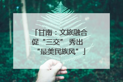 甘南：文旅融合促“三交” 秀出“最美民族风”